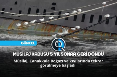 MÜSİLAJ KABUSU 5 YIL SONRA GERİ DÖNDÜ