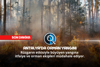 ANTALYA’DA ORMAN YANGINI