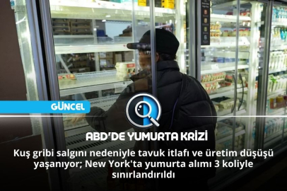 ABD'DE YUMURTA KRİZİ
