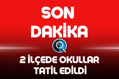2 İLÇEDE OKULLAR TATİL EDİLDİ