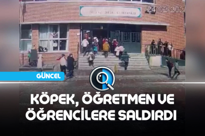 KÖPEK, ÖĞRETMEN VE ÖĞRENCİLERE SALDIRDI
