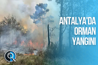 ANTALYA'DA ORMAN YANGINI