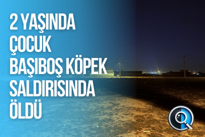 2 YAŞINDAKİ ÇOCUK KÖPEK SALDIRISINDA ÖLDÜ