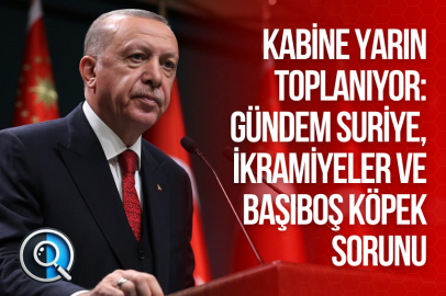 KABİNE YARIN TOPLANIYOR: GÜNDEM SURİYE, İKRAMİYELER VE BAŞIBOŞ KÖPEK SORUNU