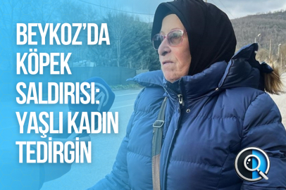 BEYKOZ’DA KÖPEK SALDIRISI: YAŞLI KADIN TEDİRGİN